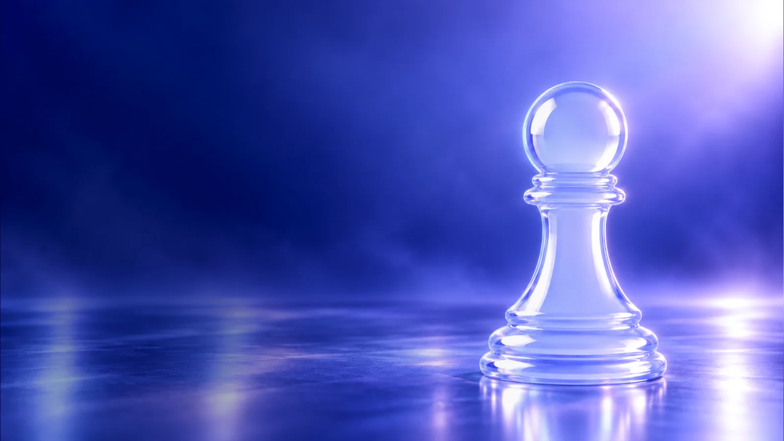 Megillion Insights