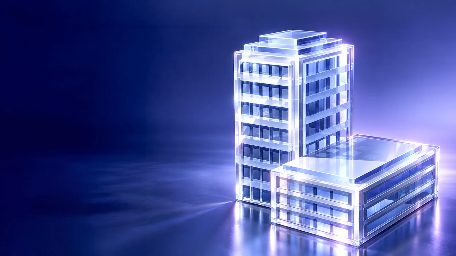 Company Formation Insights